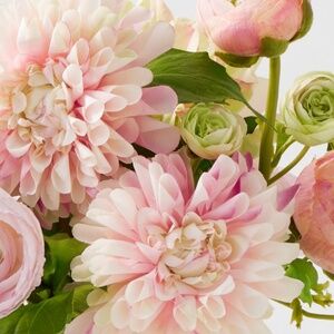 Meet your Posher, Shiner